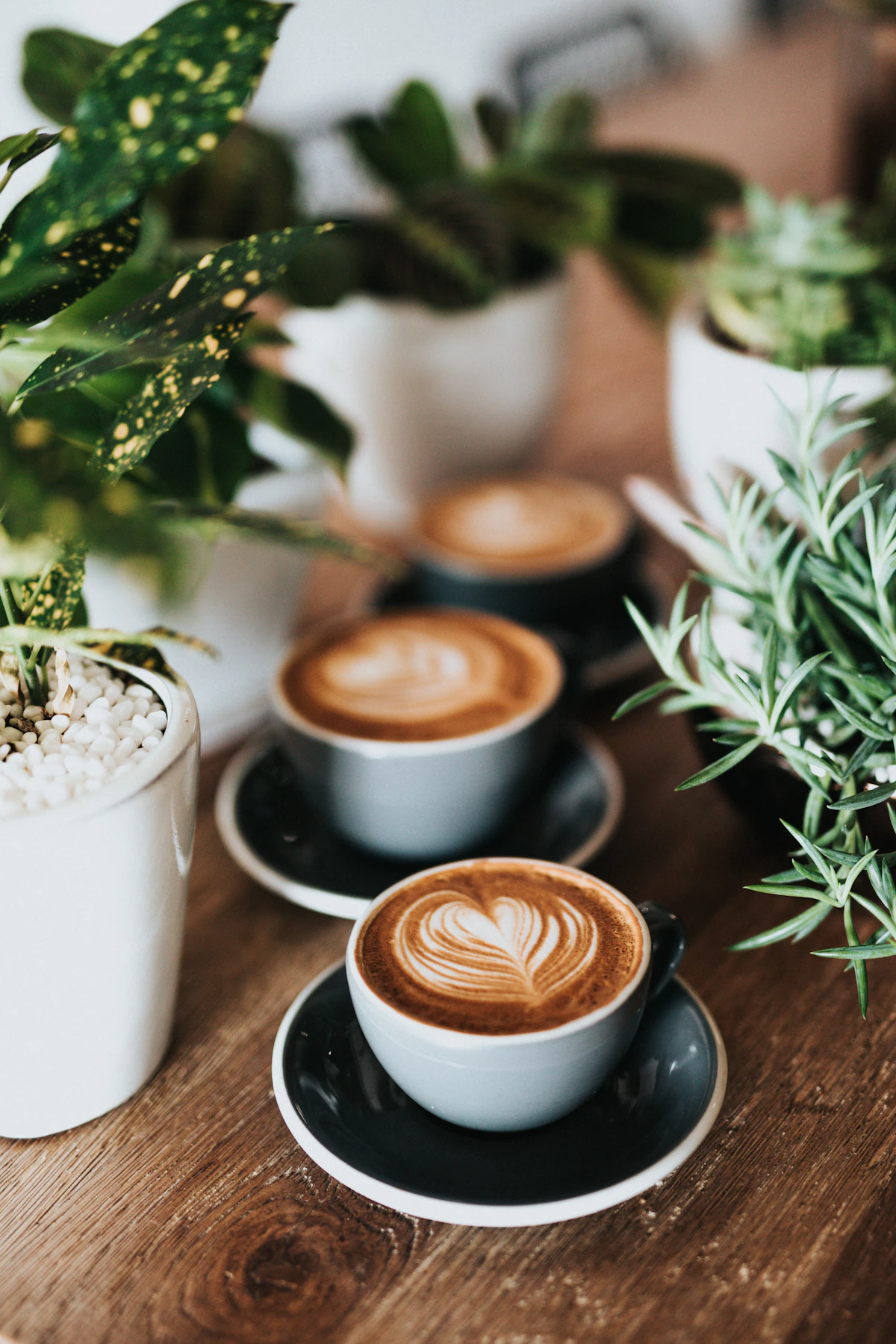 Morning coffee — illustrative photograph