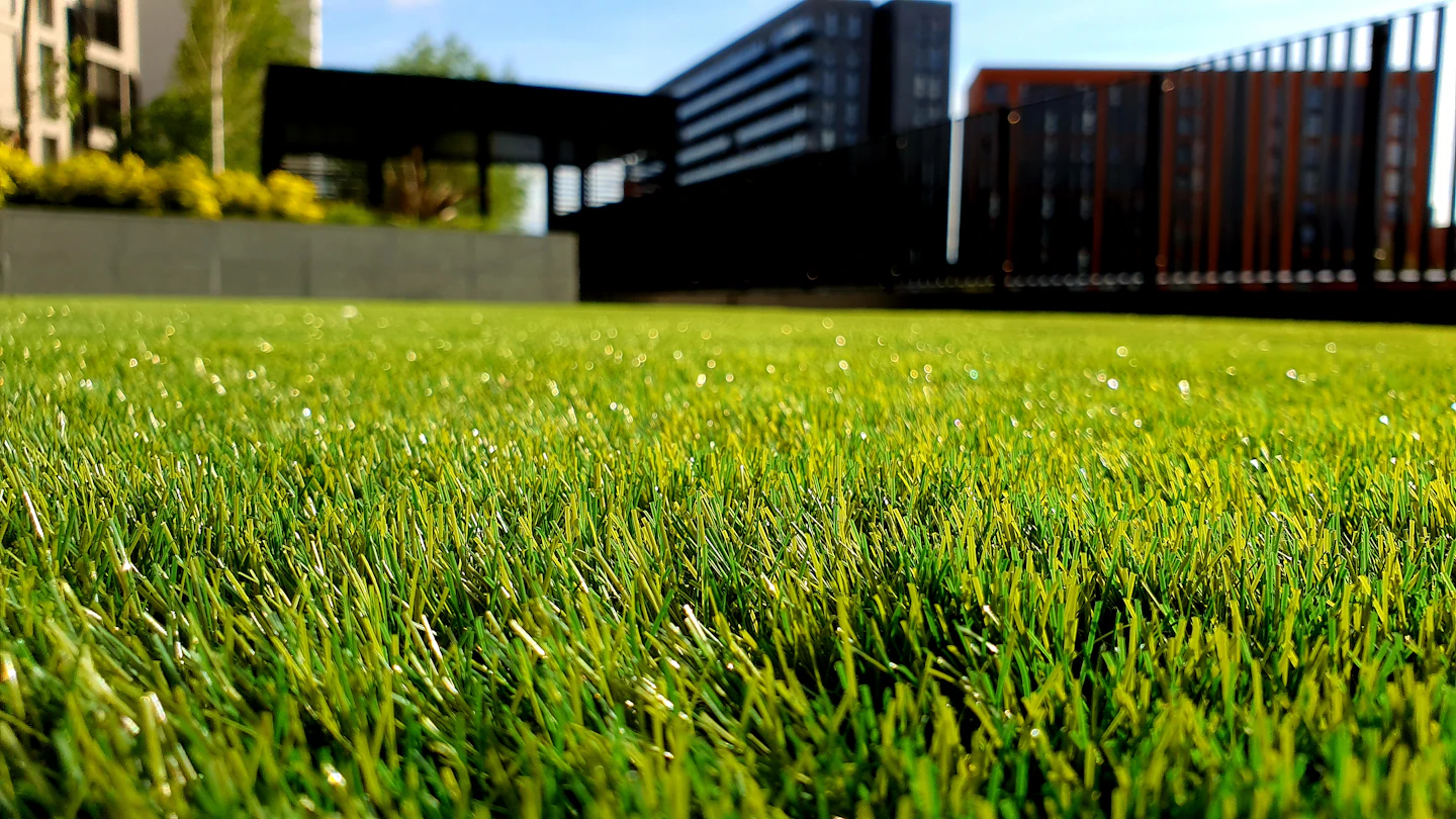 Green lawn beside a contemporary home